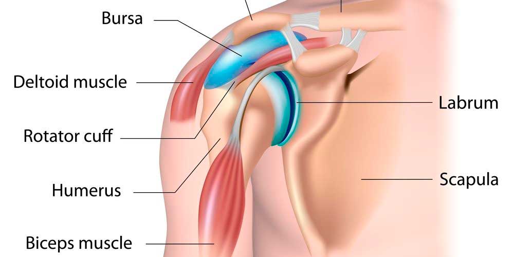 How Long Does It Take to Recover From Rotator Cuff Surgery?